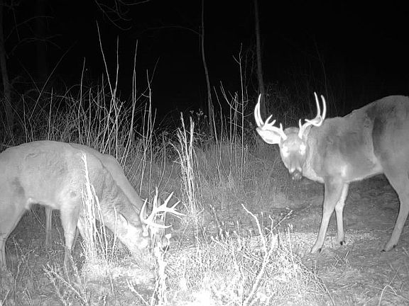 5th image of 377 State Rte