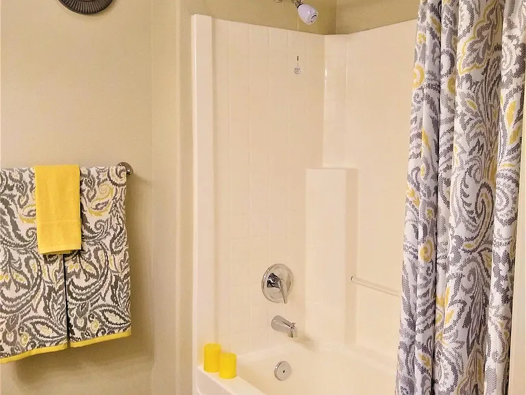 Master Bathroom Shower