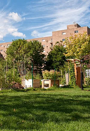 Regency Apartments — Photo 8