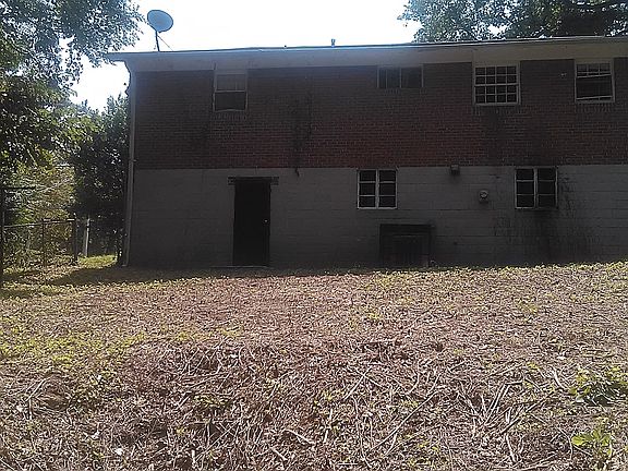 Back view