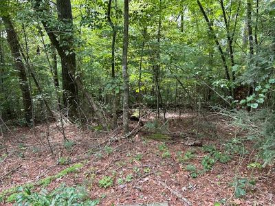 LOT 3729 Falcon Dr, Ellijay, GA, 30540