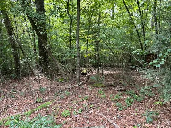 LOT 3729 Falcon Dr, Ellijay, GA 30540