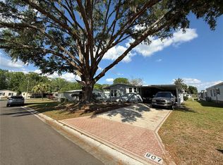 807 Oak Blvd, Wildwood, FL 34785