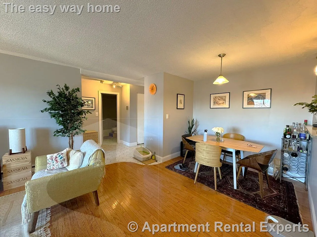 1 bed, 734 sqft, $2,450 — Photo 4