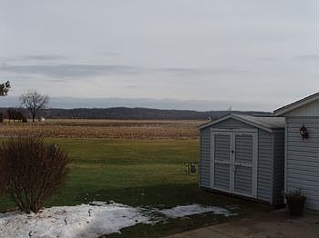 Looking out back door