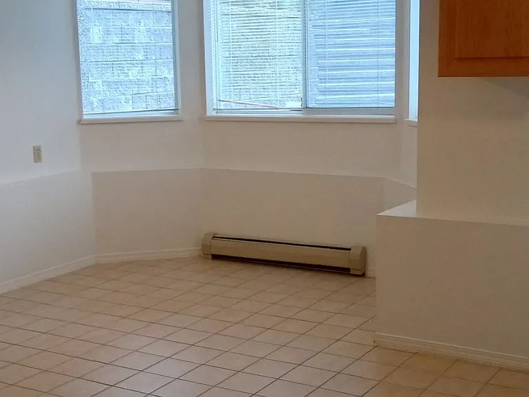 1073X Walnut Close #LOWER LEVEL — Photo 3