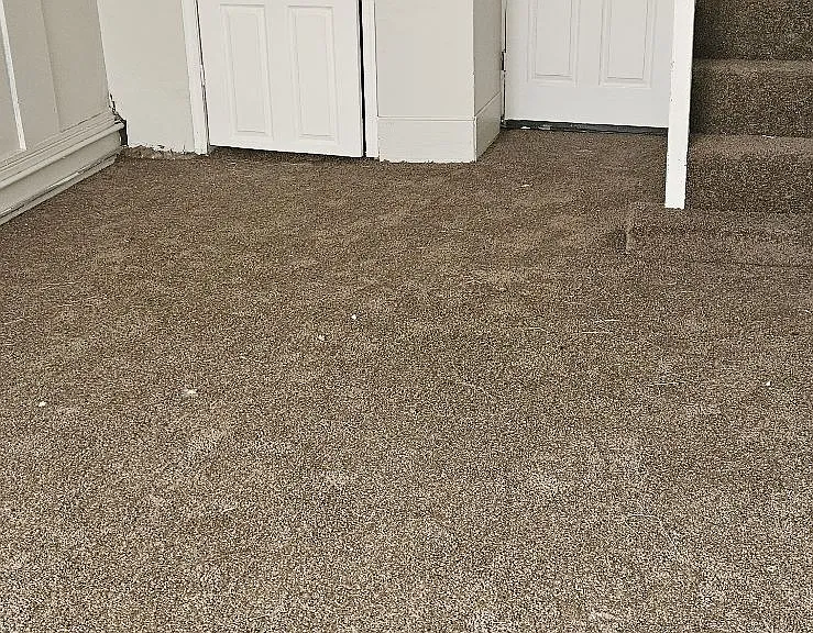 614 Glenolden Ave #2 — Photo 5