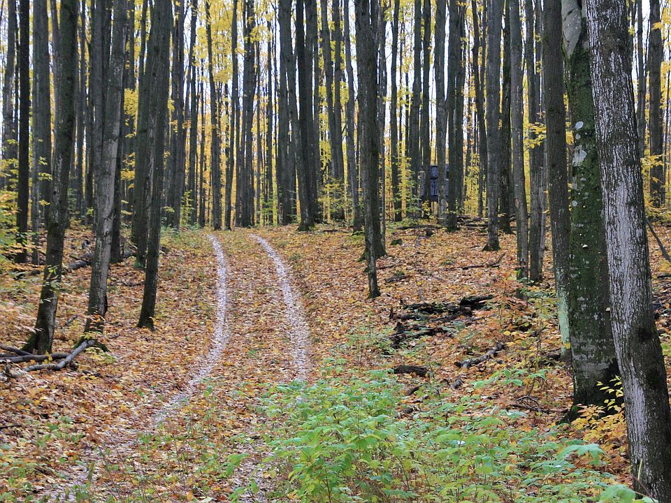 1st image of Hayes Tower Road 160 Acres