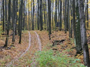 Hayes Tower Road 160 Acres, Gaylord, MI 49735
