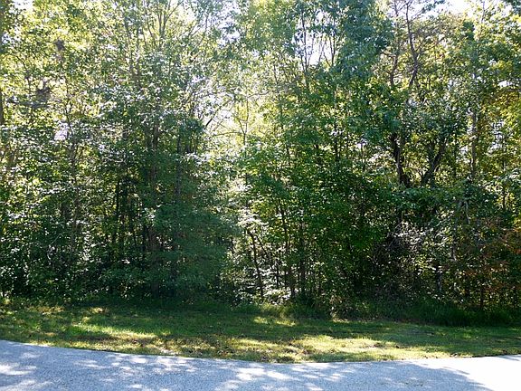 Potential driveway #5