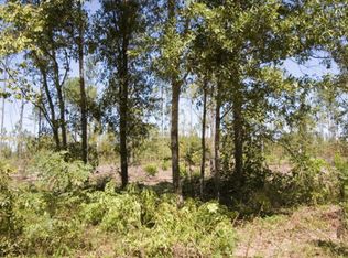 30 Pollett Rd TRACT 30, Bartow, GA 30413