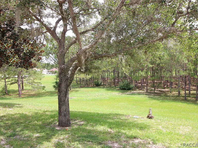 1600 W Spring Meadow Loop — Photo 30