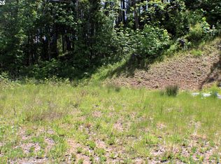 1482 Canyonville Riddle Rd, Riddle, OR 97469