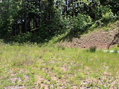 1482 Canyonville Riddle Rd, Riddle, OR, 97469