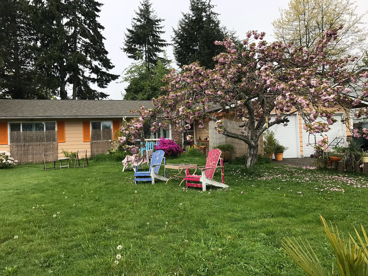 26221 20th Ave S photo 1