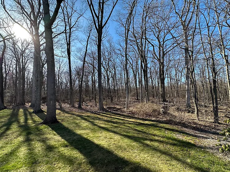 View from back porch looks onto woodlands of Farmington