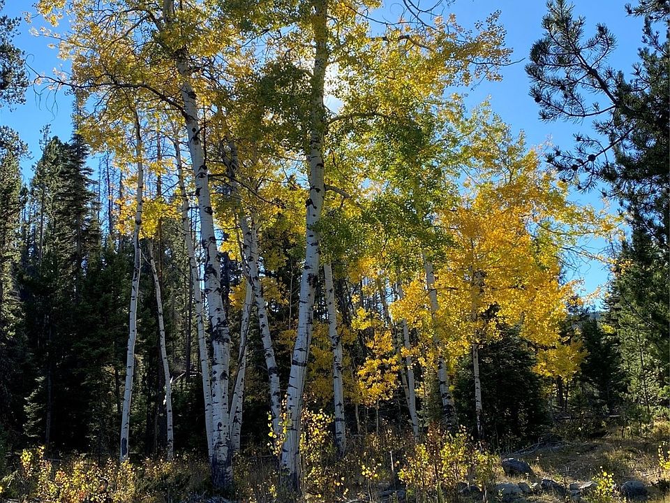 Nhn Old Corral Ln, Elliston, MT 59728 MLS 30007830 Zillow