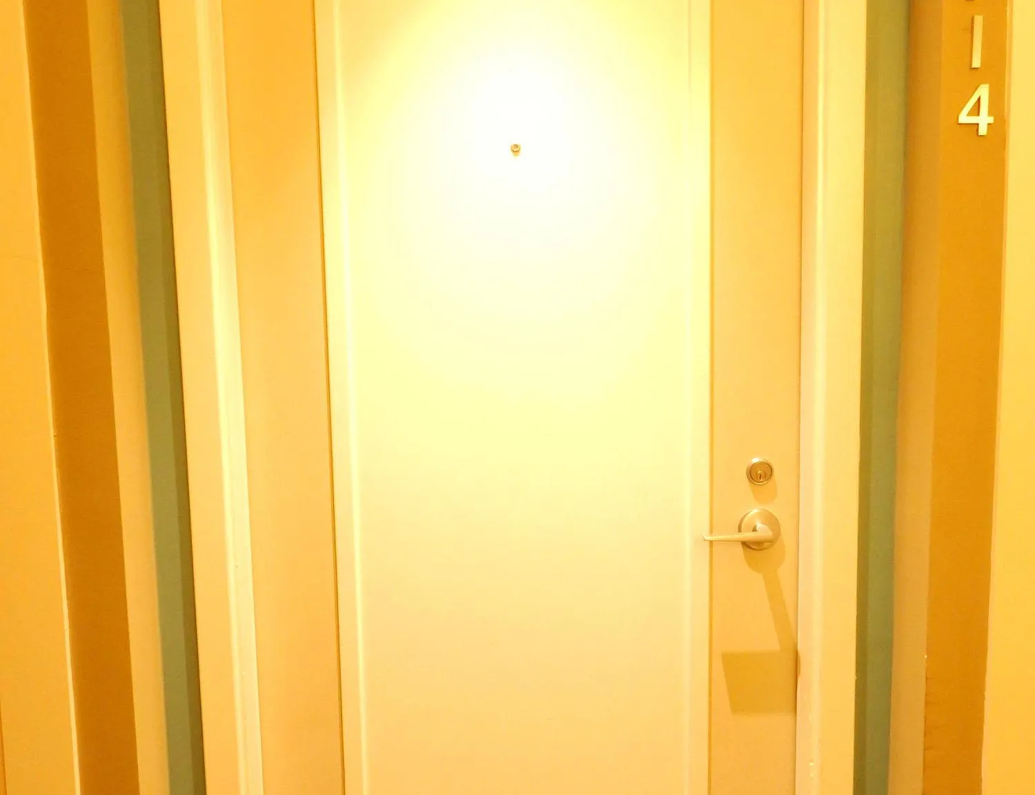 1 bed, 1.0 bath, 755 sqft, $2,900 — Photo 2