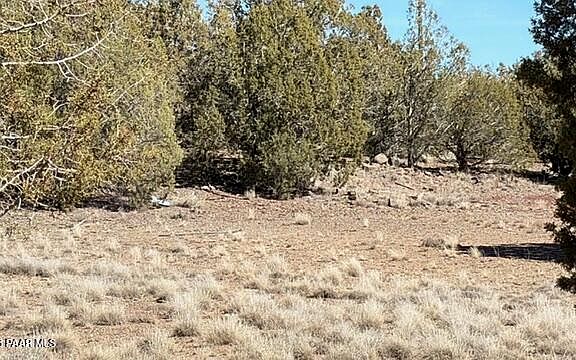 3rd image of 3963 W Gerry Ln