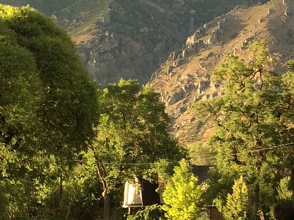 View from front porch
