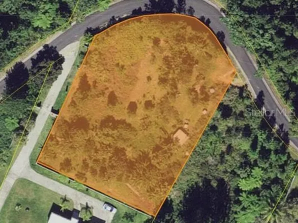 7786 Km, Cayey, PR 00736