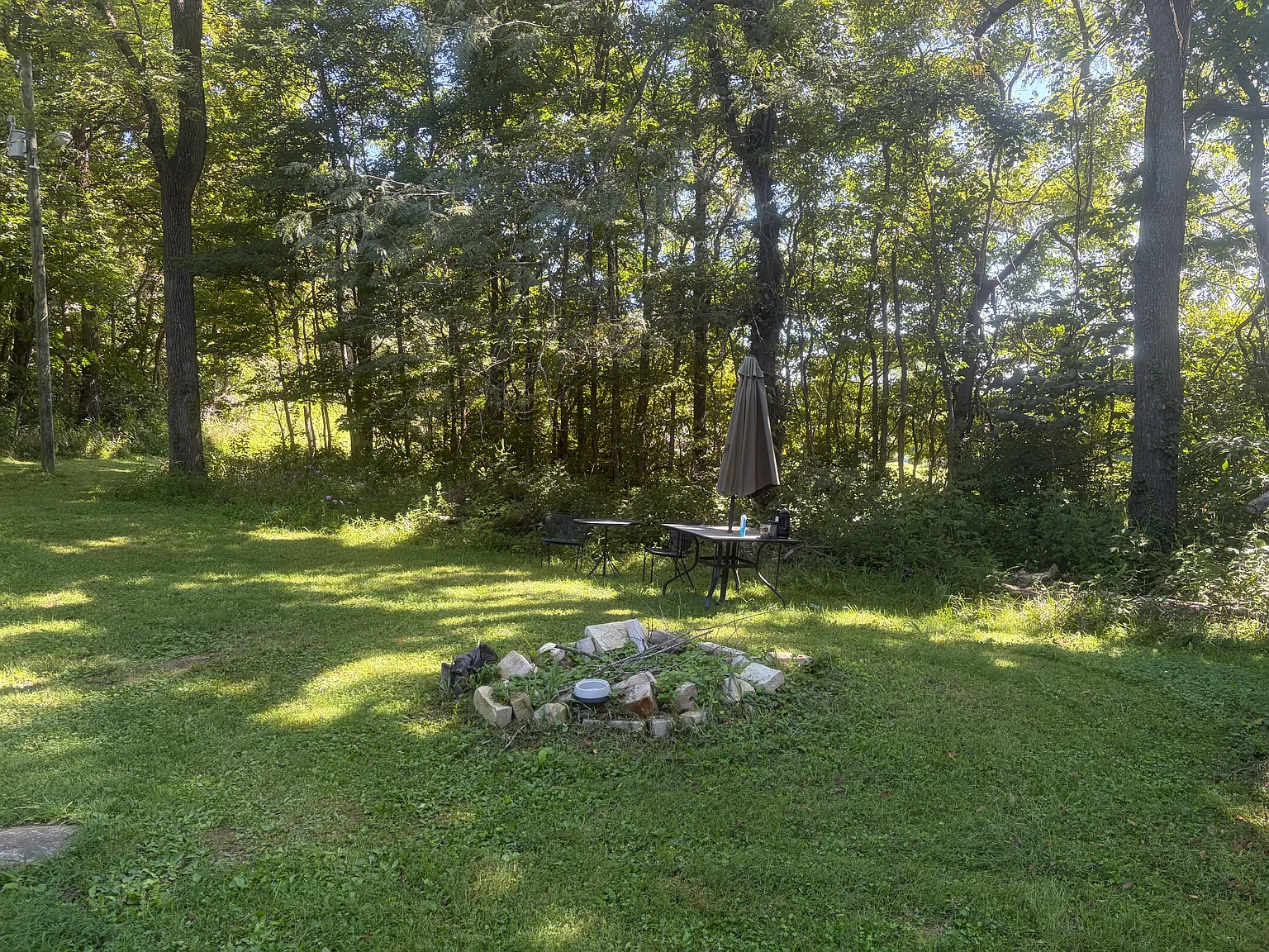 1 bed, 1500 sqft, $1,100 — Photo 3