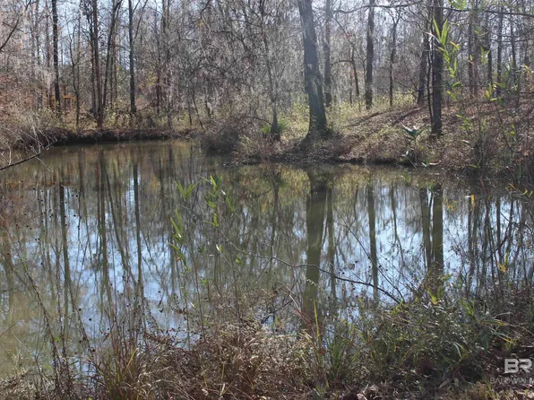 Heron Point Dr, Lowndesboro, AL 36752