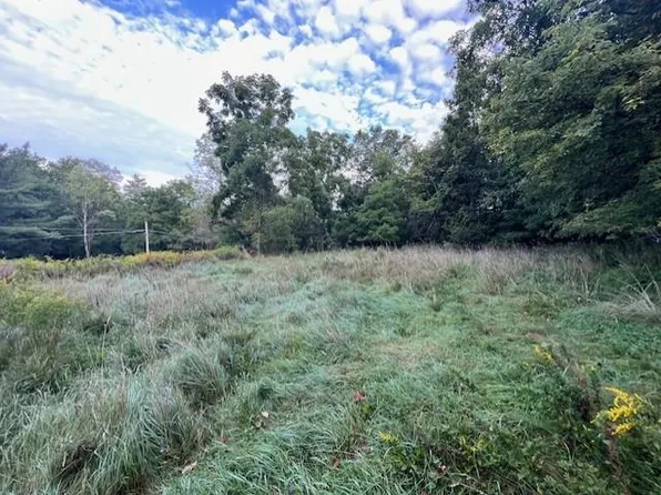 29 Depot Hill Rd, Lawrenceville, PA 16929