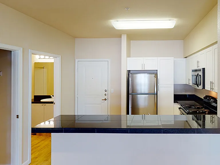 Apartment kitchen with wood-style flooring.