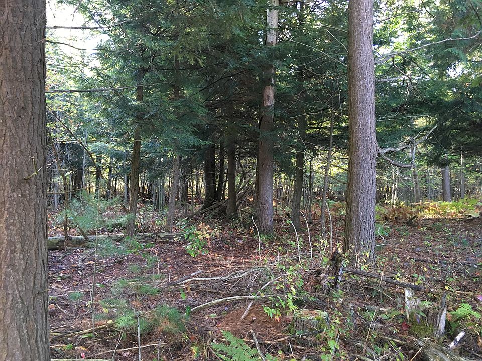 2nd image of Patterson Rd #6