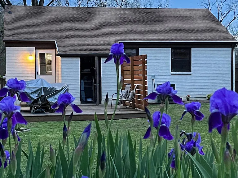 backyard (flowers are perennials)