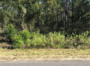 0 SW Rainelle Rd, Dunnellon, FL 34431