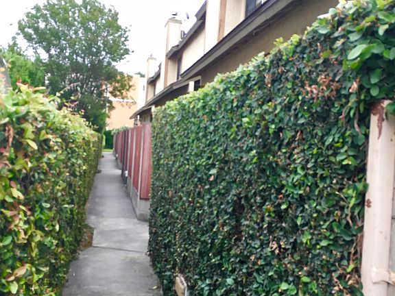 3rd image of 1716 Alamitas Ave APT C