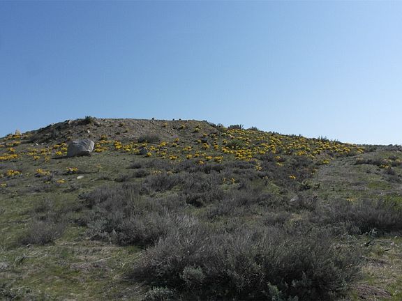 2nd image of 31 Cowboy Road