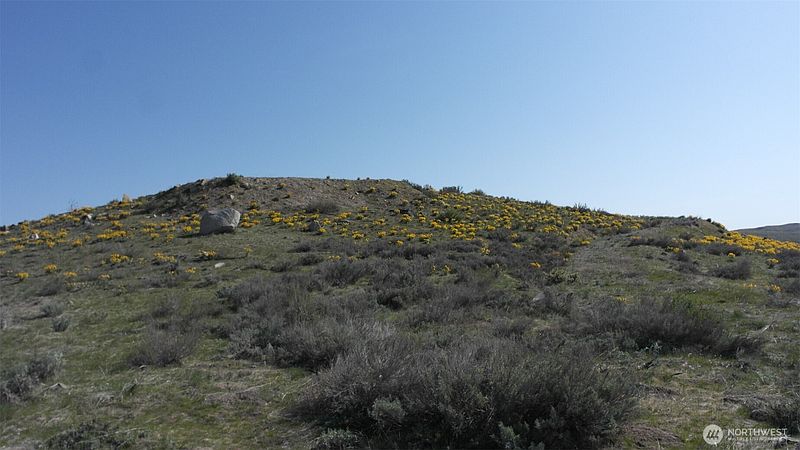3rd image of 31 Cowboy Road