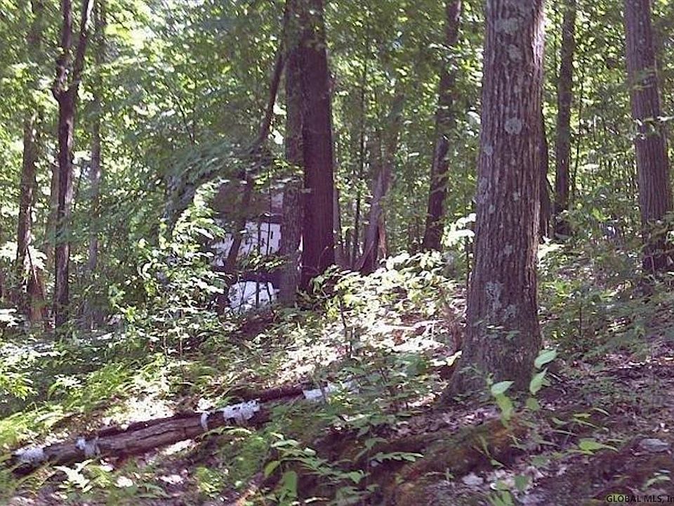 2nd image of 77 CAT TRACK Road