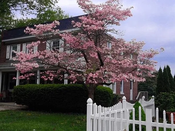 1103 E Orange St, Lancaster, PA 17602