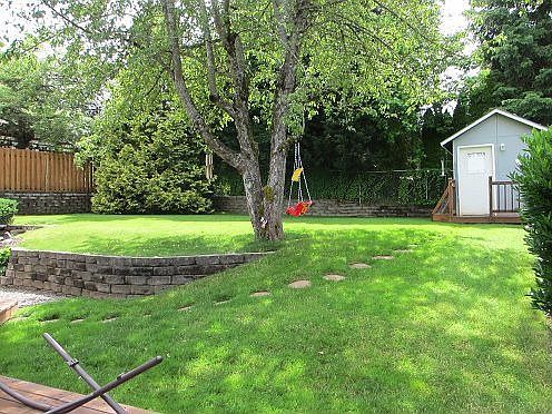 backyard 2012
