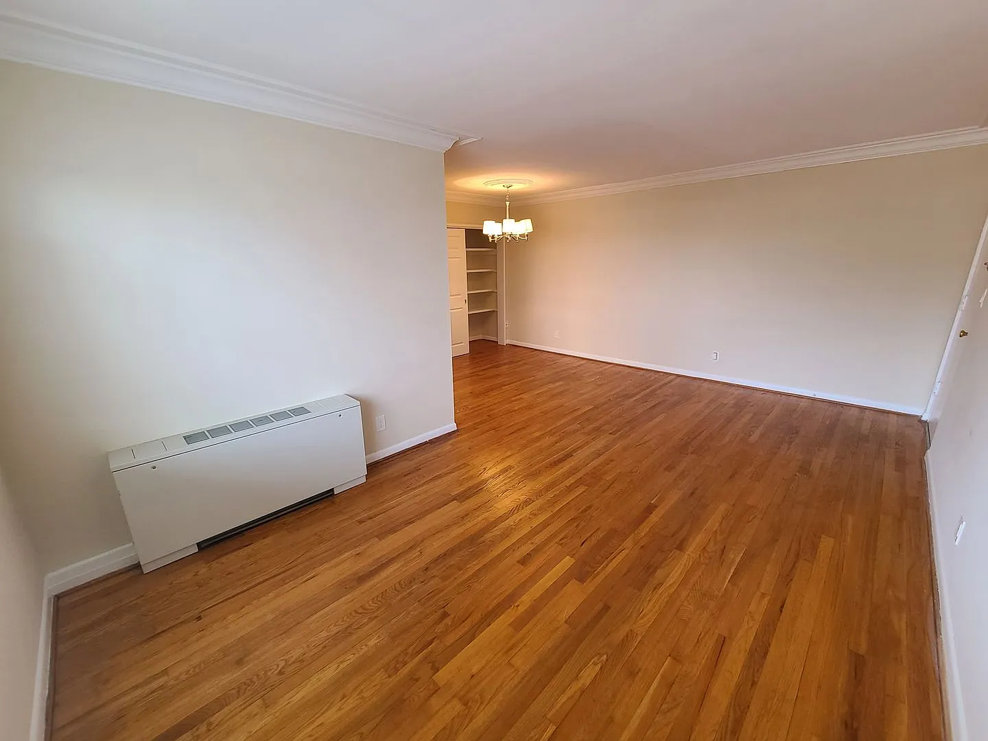 Alexandria Apartment - E. Alexandria — Photo 4