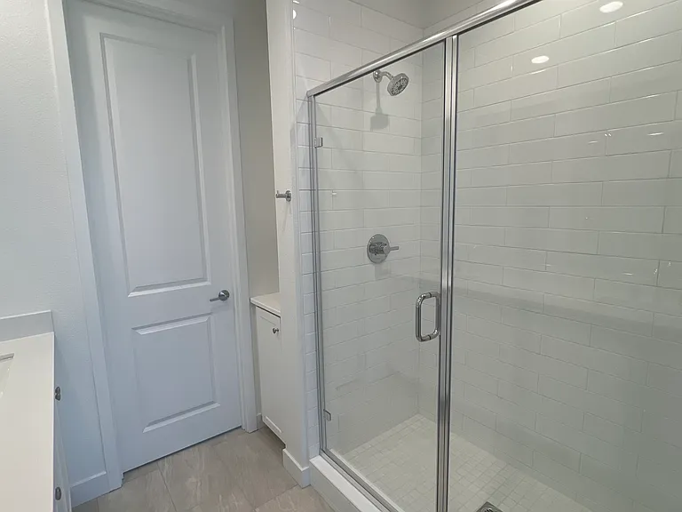 Primary Bathroom walk in shower area