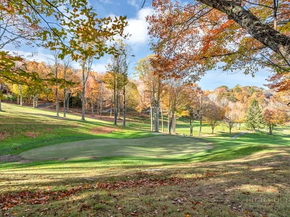 101 Golf View Drive #A-1, Beech Mountain, NC 28604