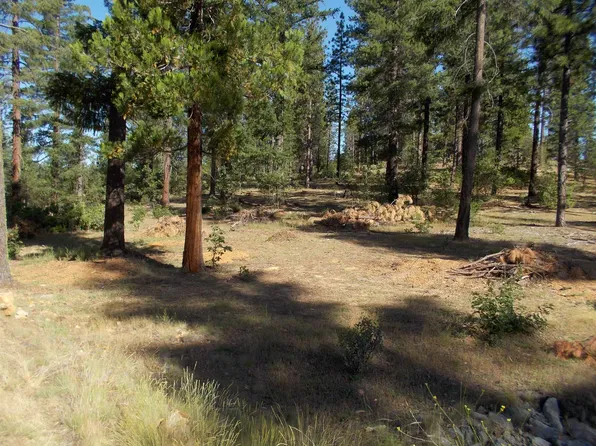 263 Liberty Ln, Quincy, CA 95971
