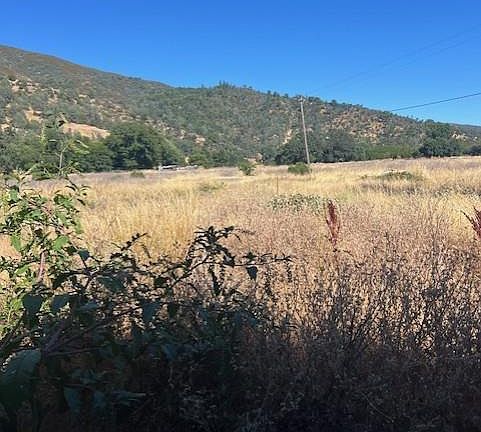 4th image of 11727 Elk Mountain Road