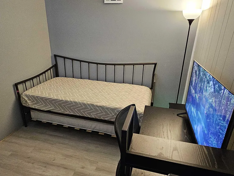 Furnished bedroom with a daybed, dedicated desk workspace, and a floor lamp, plus durable wood-look flooring.