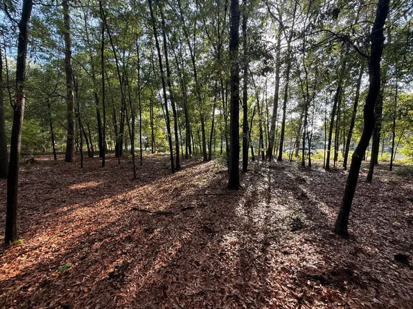 100 Triangle Dr, Summerton, SC 29148