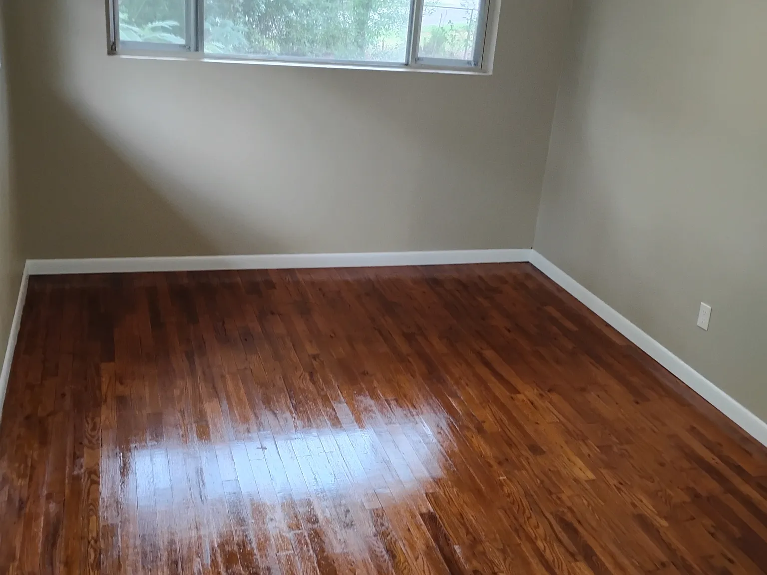 310 Town Park Way - 1 — Photo 4