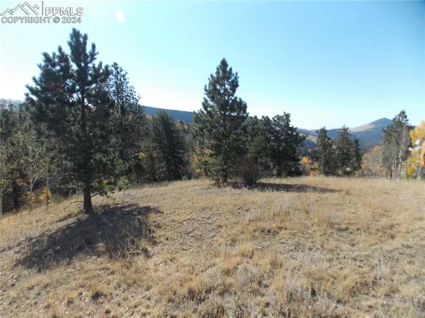 1944 May Queen Dr, Cripple Creek, CO 80813