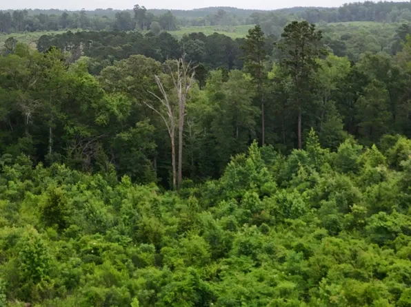Highline Dr, Zwolle, LA 71486
