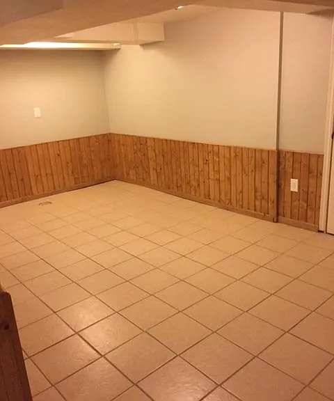 Basement Family Room