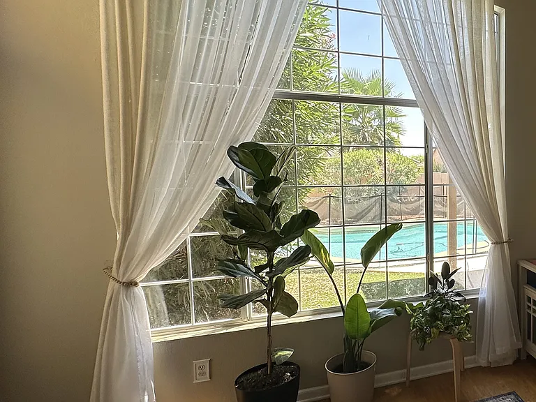 4753 E Bighorn Ave — Photo 10